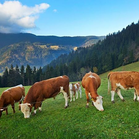 فيلا Tourist Farm Kladje Ljubno المظهر الخارجي الصورة