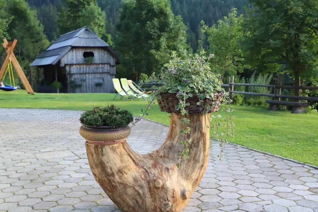 فيلا Tourist Farm Kladje Ljubno المظهر الخارجي الصورة