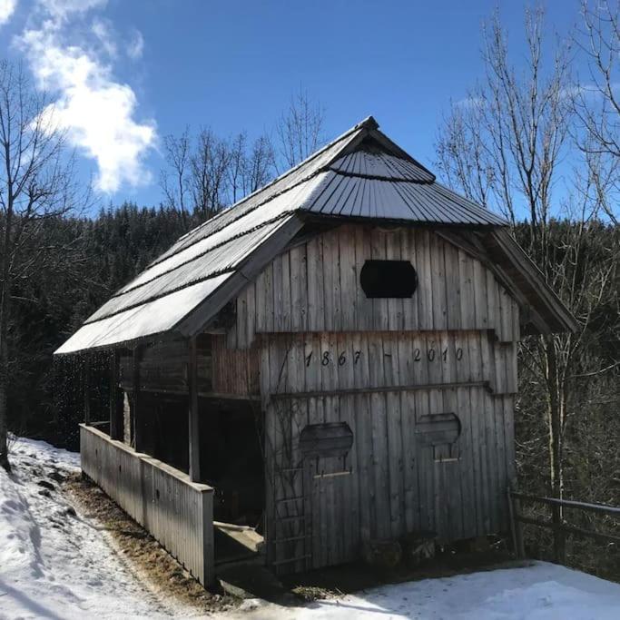 فيلا Tourist Farm Kladje Ljubno المظهر الخارجي الصورة