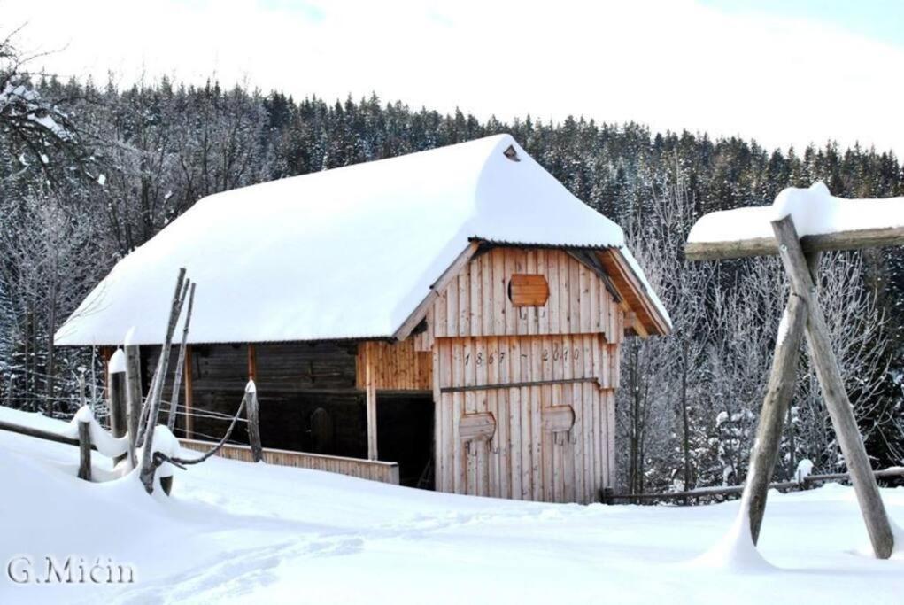 فيلا Tourist Farm Kladje Ljubno المظهر الخارجي الصورة