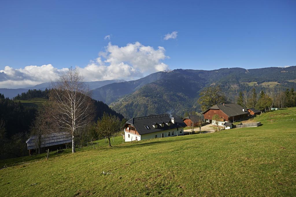 فيلا Tourist Farm Kladje Ljubno المظهر الخارجي الصورة